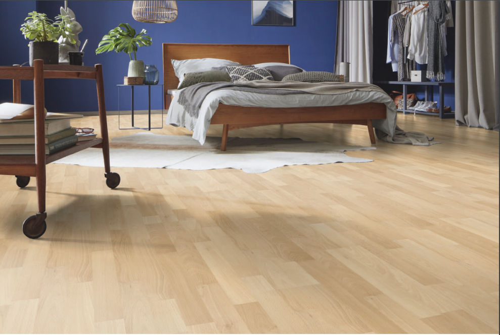 Beech Royal - D1407